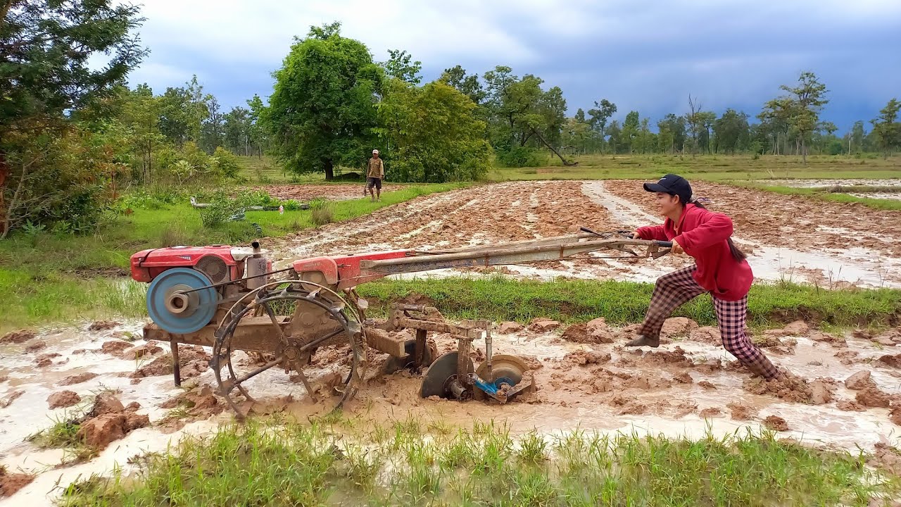หญิงแกร่งของบ้านไถฮุดนาช่วยพ่อ#น้องแนนสาวลาว