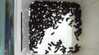 Img 8601 840