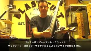 BLAST CULT Strings & Pickups