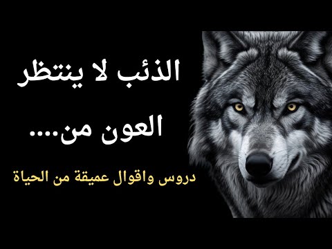 حكمة الذئب في الظلام دروس واقوال خفية للإنسان يجب أن تعرفها قبل أن تتقدم في العمر
