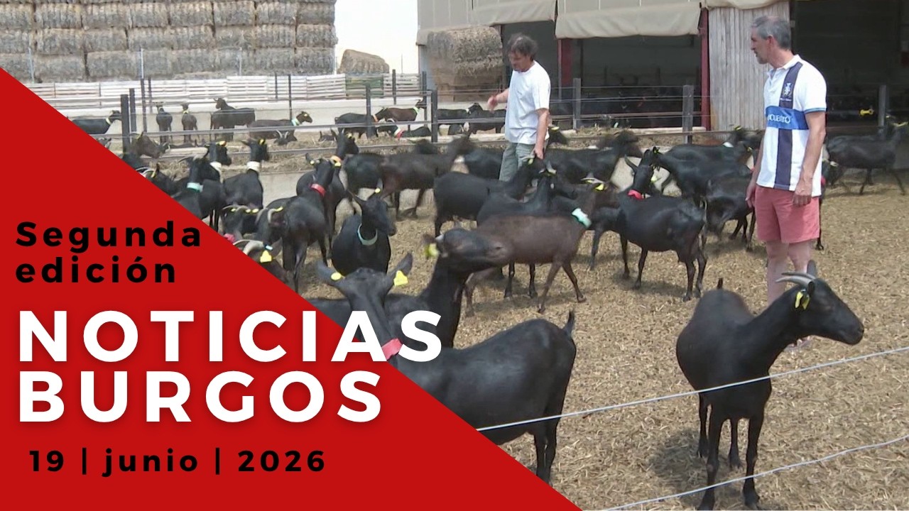 NOTICIAS 8 SEGUNDA EDICIÓN | 19 06 26