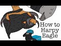 Your Life as a Harpy Eagle