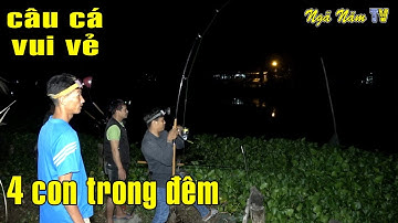 Câu Cá Tra Sông 1 Cú HatTrick Đêm Khuya Và Củ Tỏi Ghi Bàn Phút 90 - Go Fishing NGÃ NĂM TV