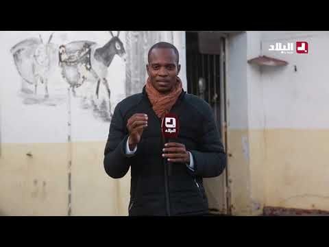 شاهد قصة جوني ومايكل الحماران اللذان يعملان في مجال النظافة