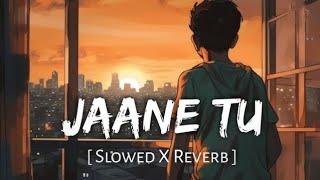 Jaane Tu - Chhaava (Slowed X Reverb | A.R. Rahman, Arijit Singh, Irshad Kamil |  Perfect things ox