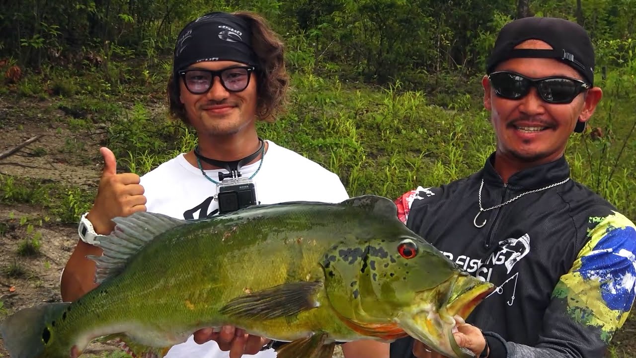 2021年12月 アマゾン・ジャタプ川釣行総集編。アマゾンの秘境でキャンプしながらピーコックバスを狙う。バス釣りとキャンプ好きにはたまらない夢のような8日間