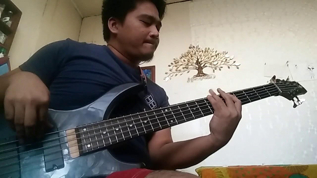 Dave Matthew's Band - Ants Marching (bass cover)