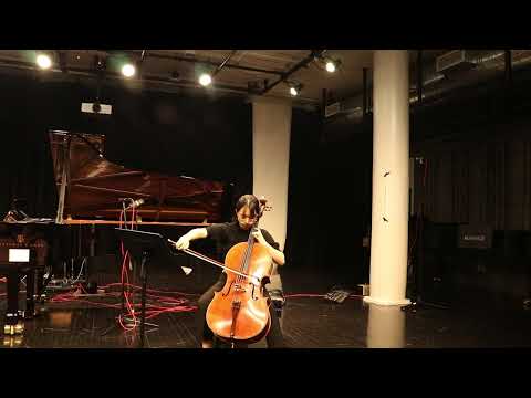 Weiyang Ding-The Light Dimmed