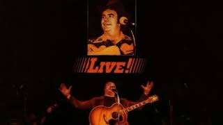 Hoyt Axton "Mel Tillis / Roger Miller Story"