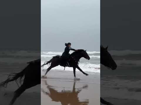 بنت مغربية تركب الخيل في البحر سريع جدااا