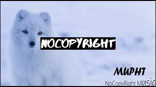 Dayfox - Foxyliciousmupht No Copyright Music