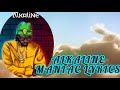 Alkaline Maniac LYRIC VIDEO WITH AUDIO mp3