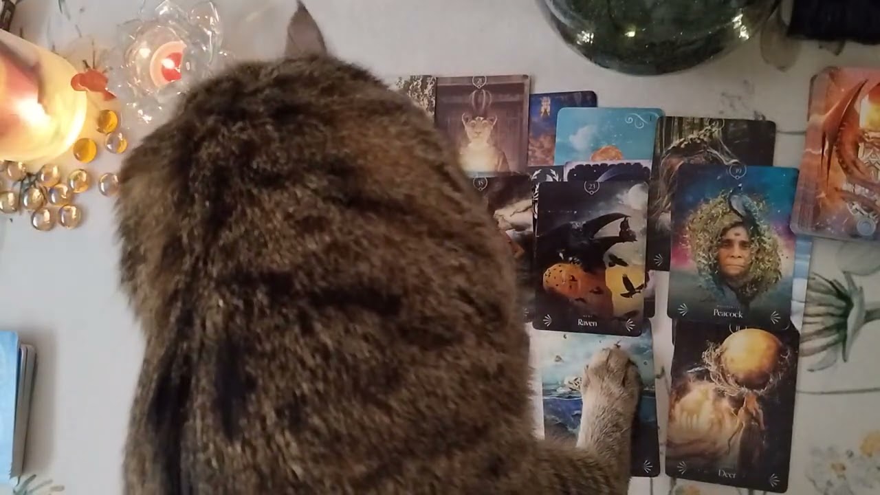 Přichází k Tobě Císař 🥳🔥❤️