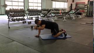 Quadruped Single Arm Pulldown