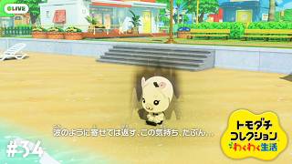 ちささこの配信のサムネイル画像