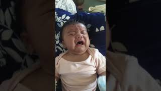 Hungry baby crying before feeding