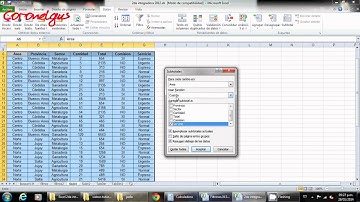 video tutorial excel 2010 subtotales español castellano