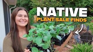 A Fall Garden Plant Haul | Native Plants, Fall Veggies & Planting the Garden