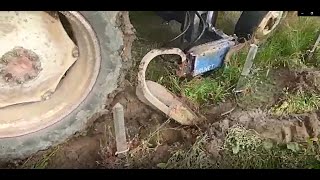 Décavaillonneuse En Printemps Humide