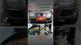 Alerta Una Tormenta Invernal Se Acerca Al Nort De