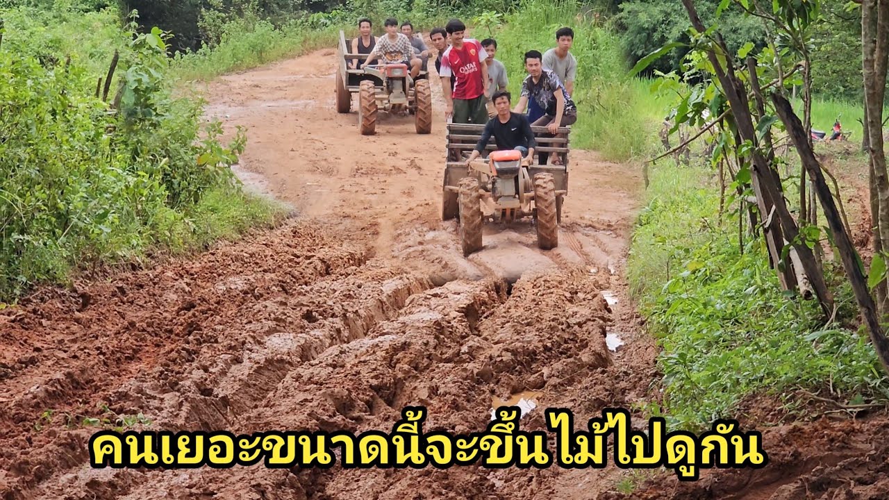 คนเยอะขนาดนี้จะขึ้นไม้ไปดูกัน