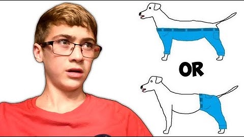 QUESTIONS THAT DIVIDE THE INTERNET…