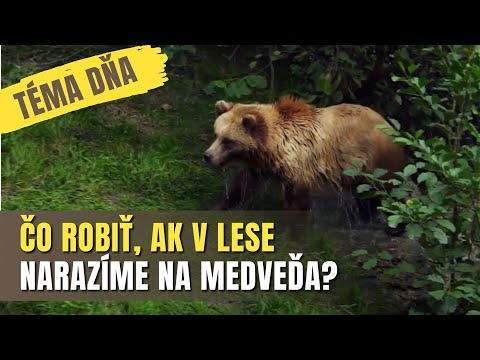TÉMA DŇA -