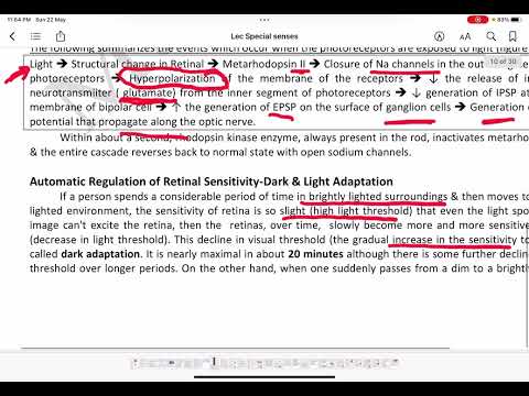 Special sense -vision photochemistry, visual pathway , visual field