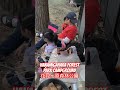 Hanamigahara Forest Park Campground - 花見ヶ原森林公園
