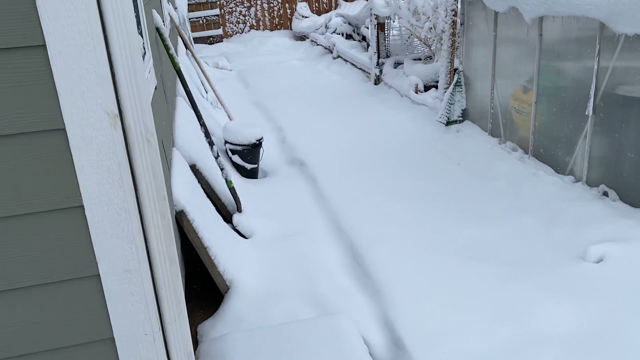 Colorado cannabis outdoor grow