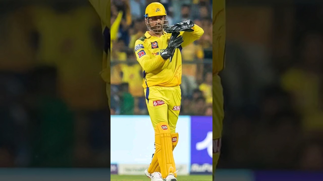 Dhoni Networth, Income