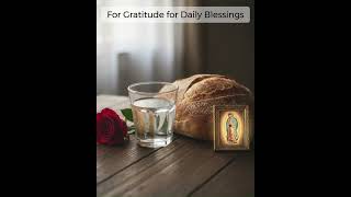 Day 40: Seeking Her Compassion | Our Lady of Guadalupe Novena for Protection