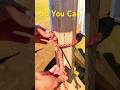 Watch closely... magic hook! #diy #lifehack #shorts