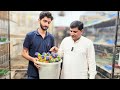 Exotic Parrot Setup Visit Mahad Fancy Birds | Lorry ke Chicks Orange Hood Opline Rosicoli Mil Jayeng
