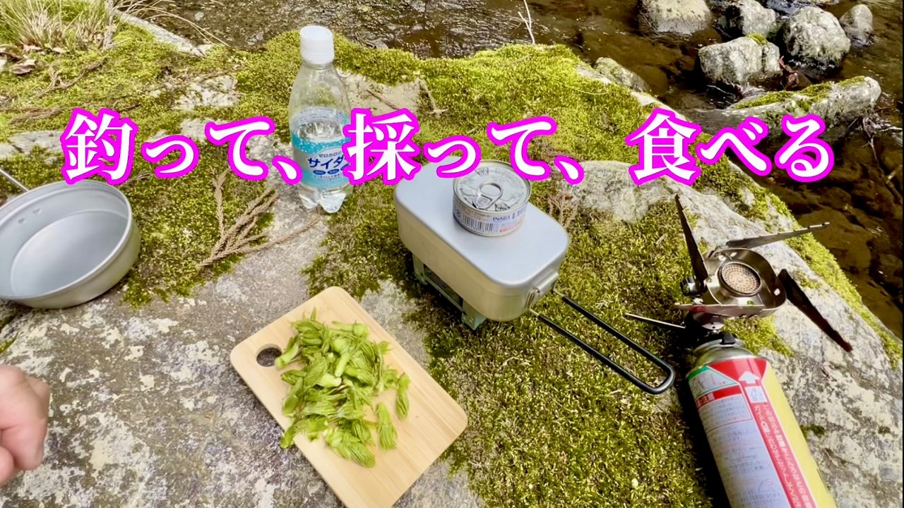 釣って、採って、渓流で食べる。春のテンカラ時間