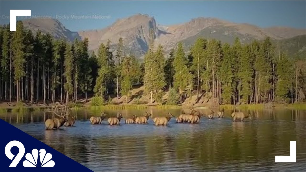 Here's photos and videos of the fall colors in Colorado