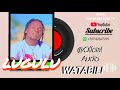 LUGULU 2026 WATABILI Offcial Audio AHAZI KISUKUMA ASILI TV