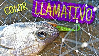 ⭐​ 𝗧𝗢𝗣 𝟯 VINILOS realistas SPINNING OTOÑO 2022 ***BRUTALLLLL***