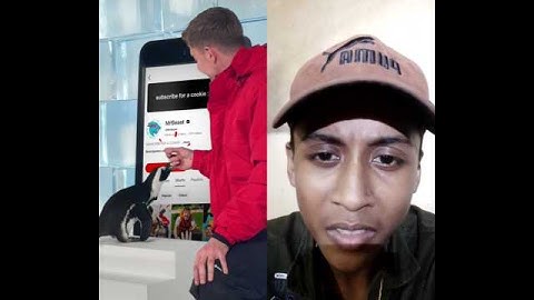 Penguin Teaches People to Subscribe?! 🐧 | My Reaction & Remix#mrbeast #shorts