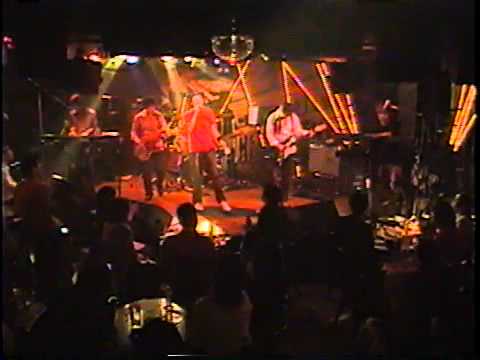 愛する君に／ダイナマイトポップス（2003年11月）