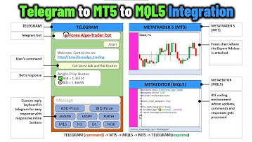 Telegram to MT5 to MQL5 to MT5 to Telegram Integration BEST✅EA in MQL5 [PART 560] #forexalgotrader