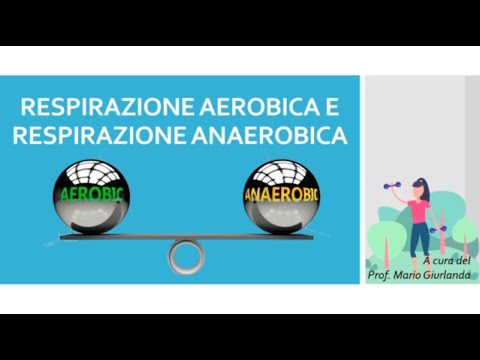 Video: Qual è la differenza tra respirazione aerobica e anaerobica?