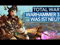 So will Total War: Warhammer 3 die größte Schwäche der Serie retten