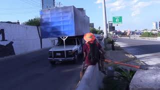 Acmes Crew- Tops Av. Constitucion 2021