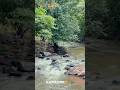 शुद्ध शांति का एक क्षण😌🏞️🍂#झरना गाँव की यात्रा#beautiful nature#viral short