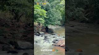 शुद्ध शांति का एक क्षण😌🏞️🍂#झरना गाँव की यात्रा#beautiful nature#viral short