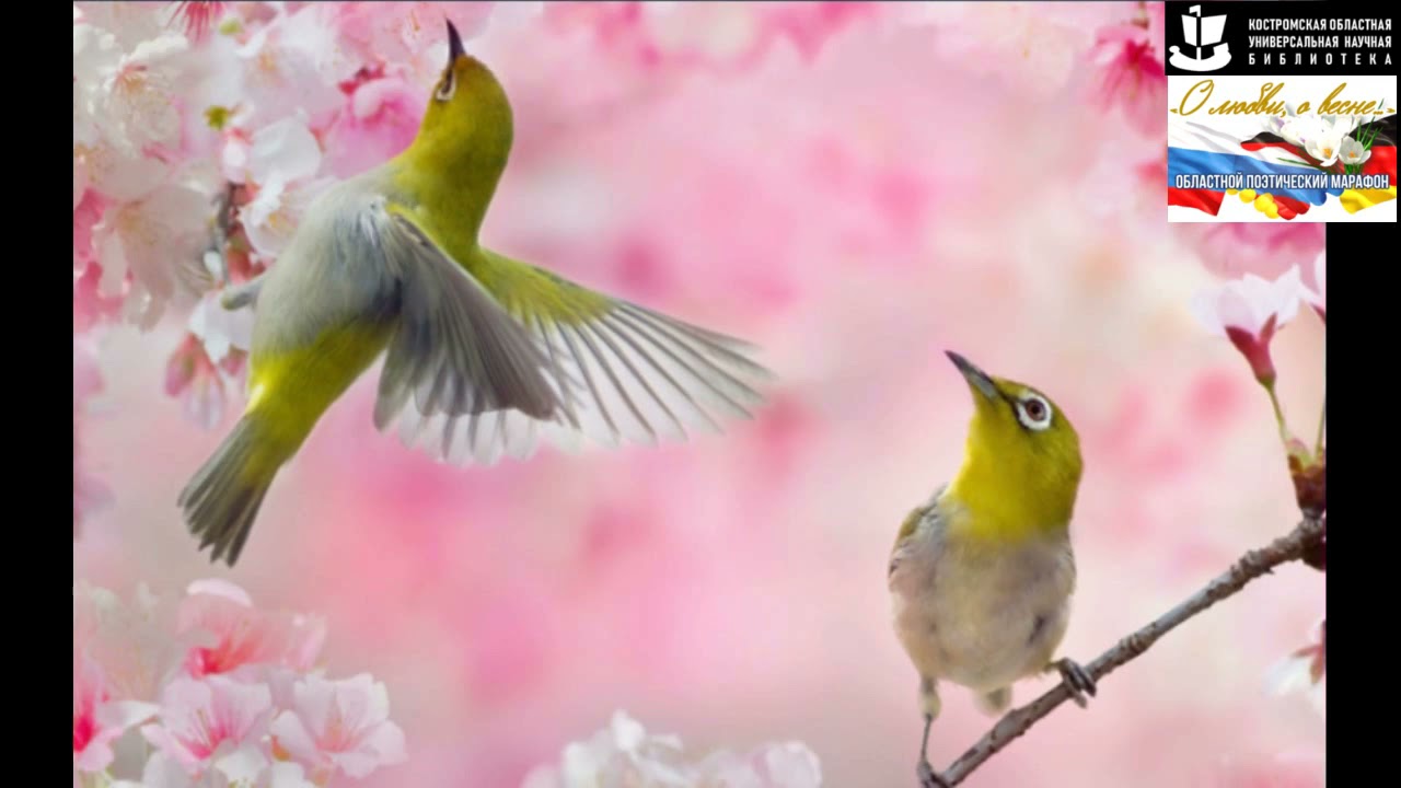 «Frühzeitlicher Frühling» (Johann Wolfgang von Goethe). - YouTube