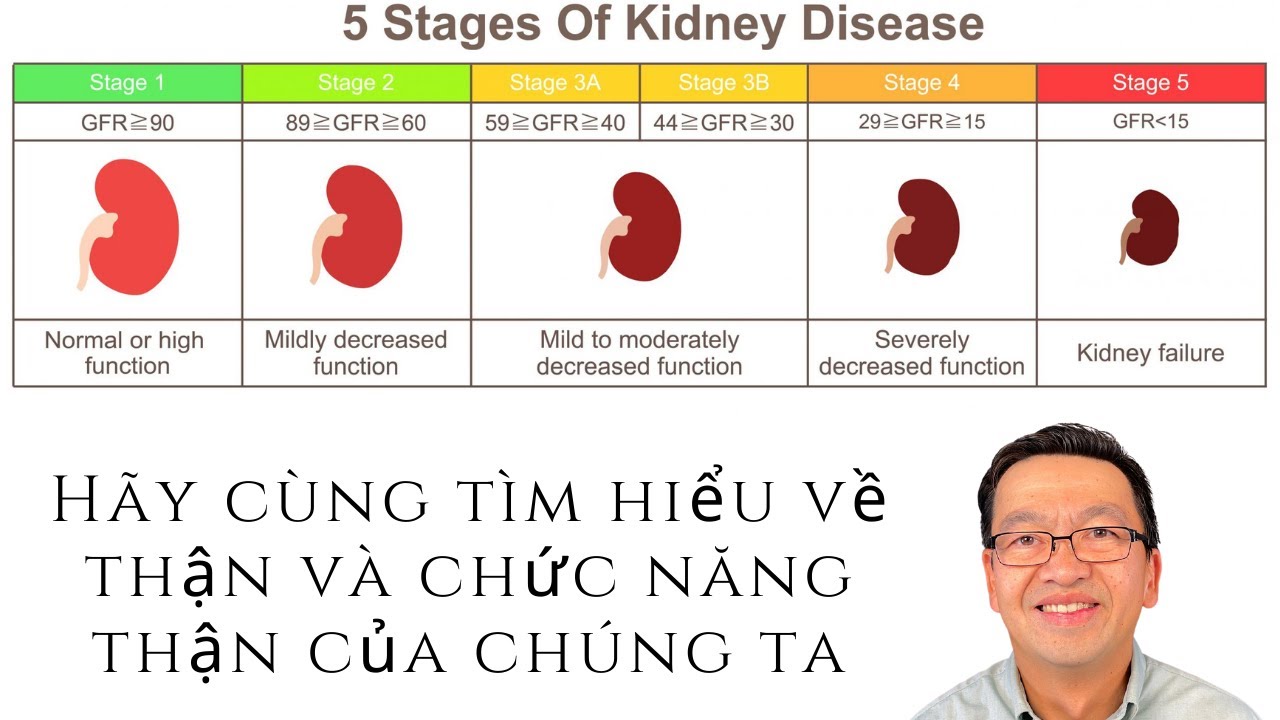 #53) Hãy cùng tìm hiểu về thận và chức năng thận của... - youtube