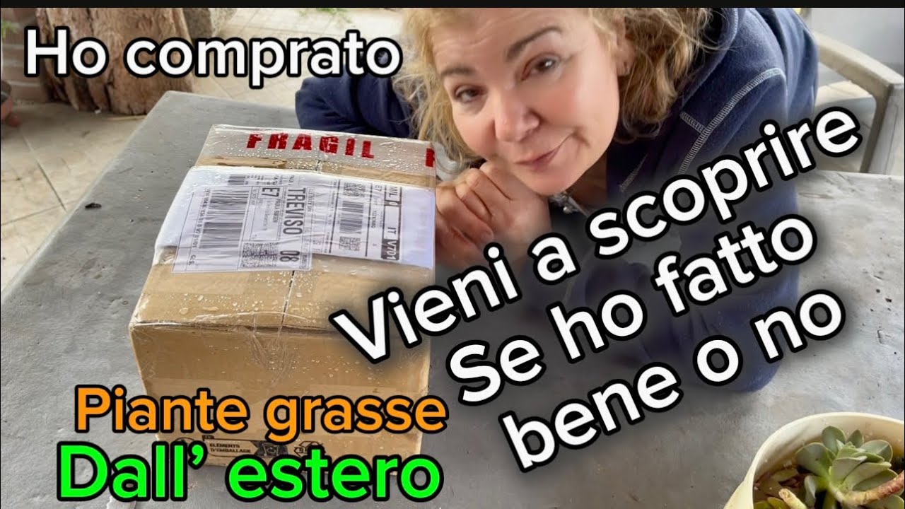 PIANTE GRASSE 🌵dal PORTOGALLO –cosa fare dopo+Rinvaso!🪴