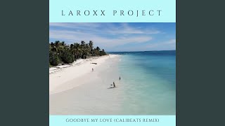 Goodbye My Love (Calibeats Remix Radio Edit)